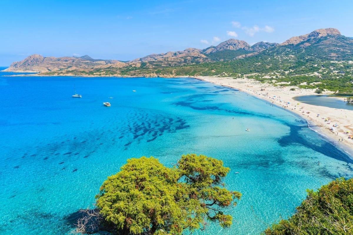Casa Ortale Διαμέρισμα Μοντιτσέλο Εξωτερικό φωτογραφία