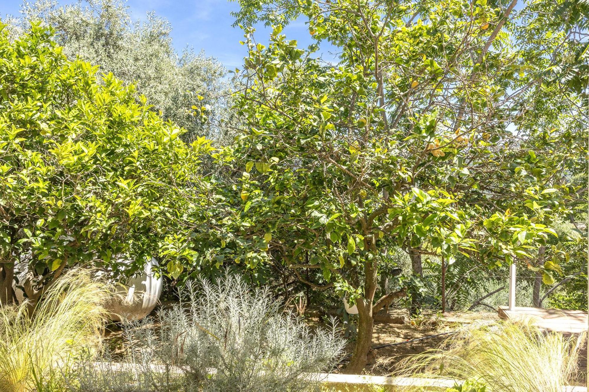 Casa Ortale Διαμέρισμα Μοντιτσέλο Εξωτερικό φωτογραφία